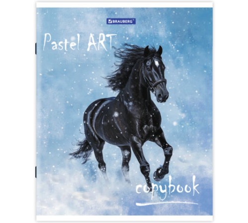 Тетрадь А5, 48 л., BRAUBERG скоба, клетка, металлизированный картон, СВОБОДА, 403041