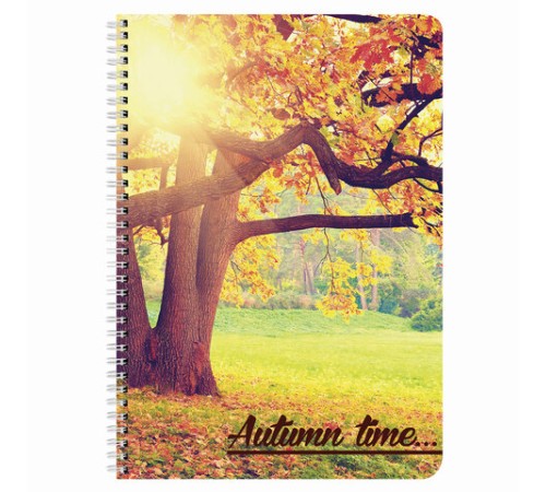 Тетрадь А4, 96 л., BRAUBERG, гребень, клетка, обложка картон, 4 СЕЗОНА, 403071