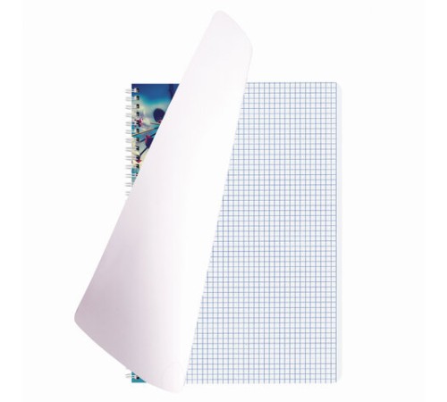 Тетрадь А4, 96 л., BRAUBERG, гребень, клетка, обложка картон, 4 СЕЗОНА, 403071