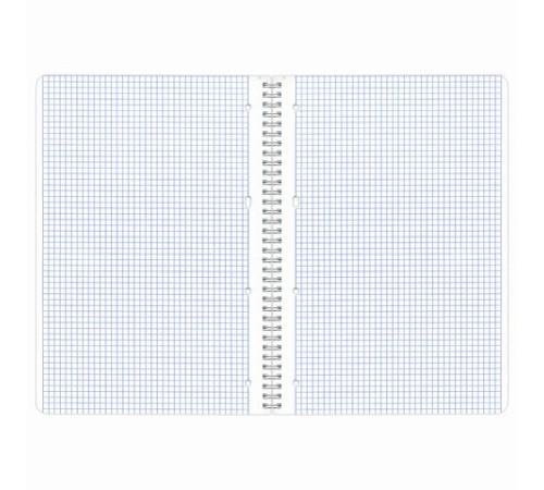 Тетрадь А4, 96 л., BRAUBERG, гребень, клетка, обложка картон, 4 СЕЗОНА, 403071