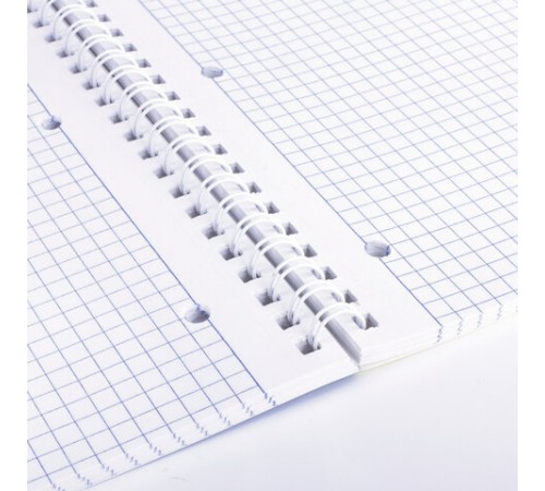 Тетрадь А4, 96 л., BRAUBERG, гребень, клетка, обложка картон, 4 СЕЗОНА, 403071