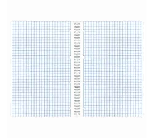 Тетрадь А4, 96 л., BRAUBERG, гребень, клетка, обложка картон, КРАСИВЫЕ ЦВЕТЫ, 403072