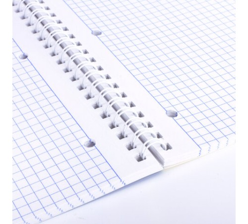 Тетрадь А4, 96 л., BRAUBERG, гребень, клетка, обложка картон, КРАСИВЫЕ ЦВЕТЫ, 403072