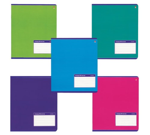 Тетрадь А5, 48 л., АЛЬТ, скоба, линия, выборочный лак, 