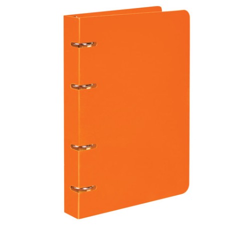 Тетрадь на кольцах А5 160х215 мм, 80 л., пластик, клетка, BRAUBERG, 