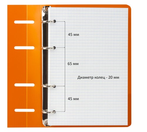 Тетрадь на кольцах А5 160х215 мм, 80 л., пластик, клетка, BRAUBERG, 