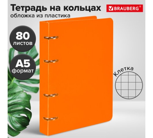 Тетрадь на кольцах А5 160х215 мм, 80 л., пластик, клетка, BRAUBERG, 