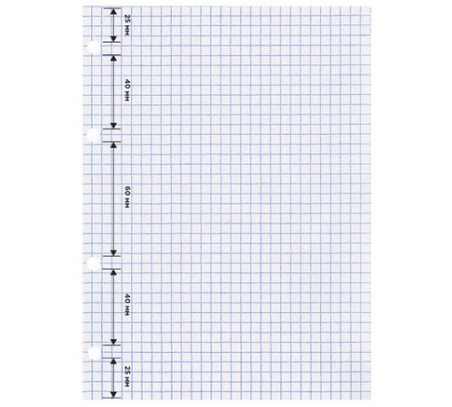 Сменный блок для тетради на кольцах, А5, 120 л., BRAUBERG, 