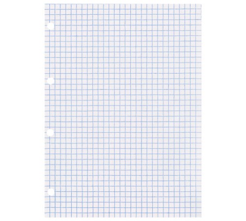 Сменный блок для тетради на кольцах БОЛЬШОЙ А4, 80 л., BRAUBERG, 