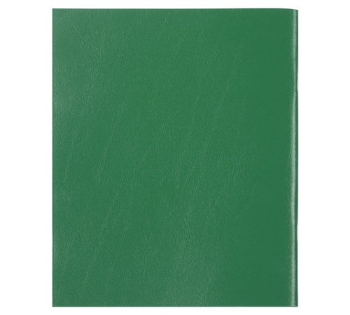 Тетрадь бумвинил, А4, 96 л., скоба, офсет №2 ЭКОНОМ, клетка, STAFF, ЗЕЛЕНЫЙ, 403407