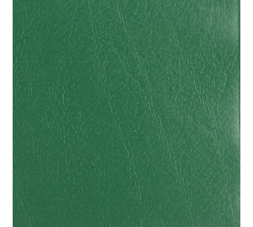 Тетрадь бумвинил, А5, 48 л., скоба, офсет №1, клетка, с полями, STAFF, ЗЕЛЕНЫЙ, 403413