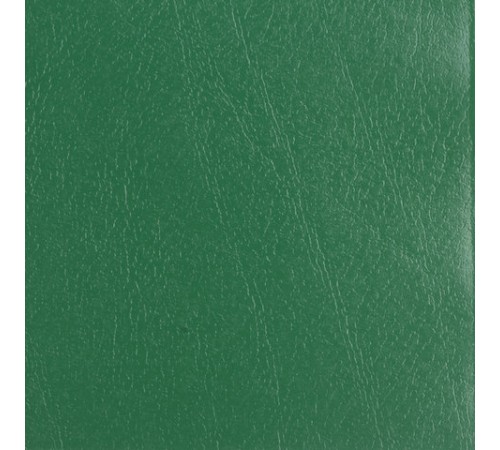 Тетрадь бумвинил, А5, 96 л., скоба, офсет №1, клетка, с полями, STAFF, ЗЕЛЕНЫЙ, 403417