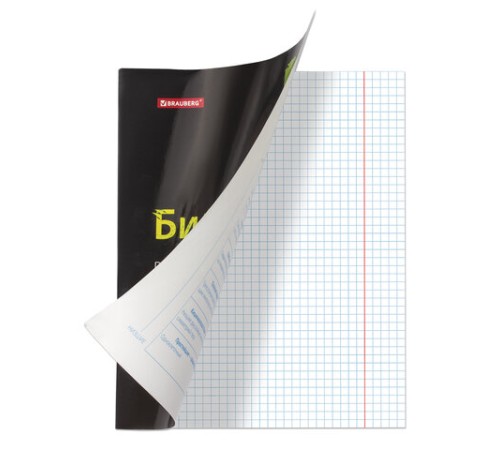 Тетради предметные, КОМПЛЕКТ 10 ПРЕДМЕТОВ, 48 л., глянцевый лак, BRAUBERG, 