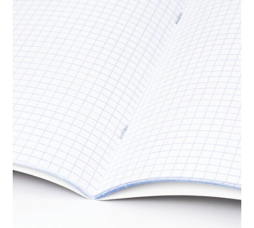 Тетради предметные, КОМПЛЕКТ 10 ПРЕДМЕТОВ, 48 л., глянцевый лак, BRAUBERG, 