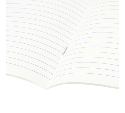 Тетради предметные, КОМПЛЕКТ 10 ПРЕДМЕТОВ, 48 л., глянцевый лак, BRAUBERG, 