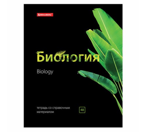 Тетради предметные, КОМПЛЕКТ 10 ПРЕДМЕТОВ, 48 л., глянцевый лак, BRAUBERG, 