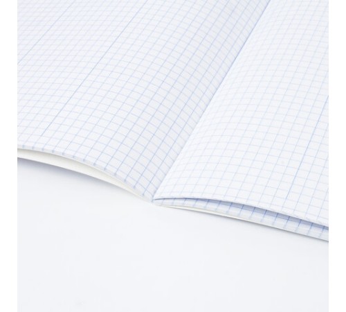 Тетрадь-словарь для записи английских слов А5 48 л., скоба, клетка, BRAUBERG, справка, 403562