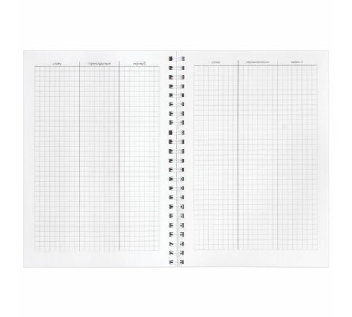 Тетрадь-словарь для записи иностранных слов А5 48 л., гребень, клетка, BRAUBERG, 403563