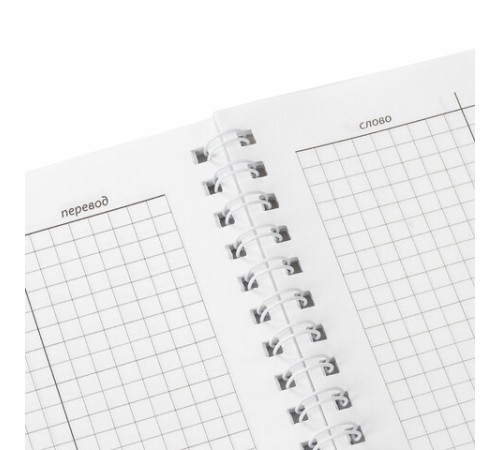 Тетрадь-словарь для записи иностранных слов А5 48 л., гребень, клетка, BRAUBERG, 403563