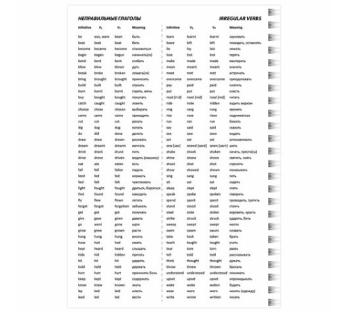 Тетрадь-словарь для записи английских слов А5 48 л., гребень, клетка, BRAUBERG, справка, 403564