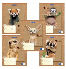 Тетрадь 18 л. BRAUBERG линия, обложка картон, 