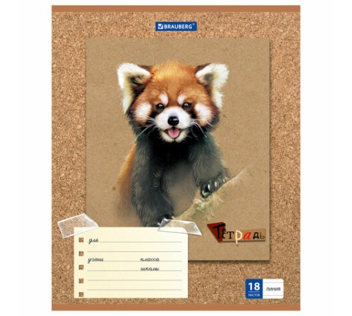 Тетрадь 18 л. BRAUBERG линия, обложка картон, 