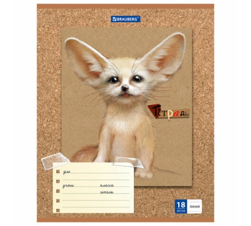 Тетрадь 18 л. BRAUBERG линия, обложка картон, 
