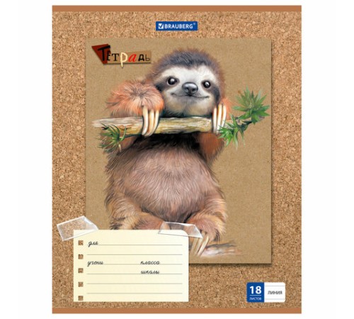 Тетрадь 18 л. BRAUBERG линия, обложка картон, 