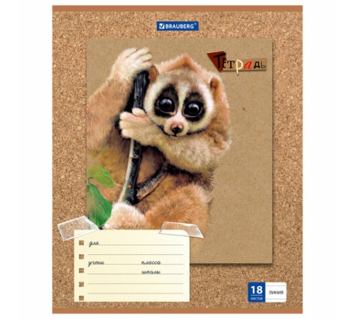Тетрадь 18 л. BRAUBERG линия, обложка картон, 