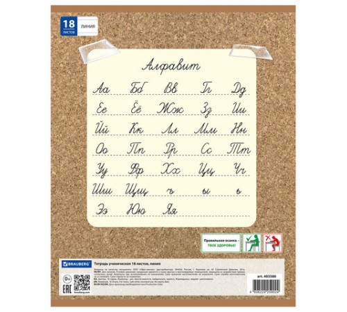 Тетрадь 18 л. BRAUBERG линия, обложка картон, 