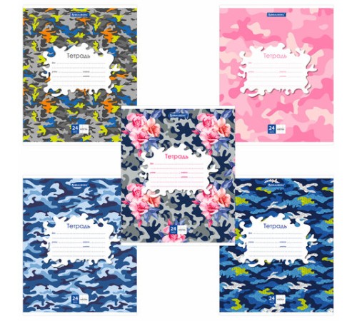 Тетрадь 24 л. BRAUBERG клетка, обложка картон, 
