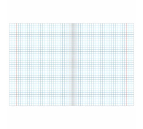 Тетрадь 24 л. BRAUBERG клетка, обложка картон, 