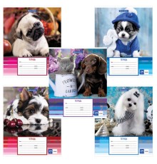 Тетрадь 24 л. BRAUBERG линия, обложка картон, 