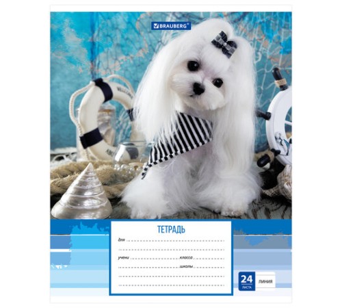 Тетрадь 24 л. BRAUBERG линия, обложка картон, 
