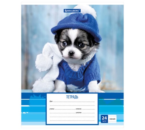 Тетрадь 24 л. BRAUBERG линия, обложка картон, 