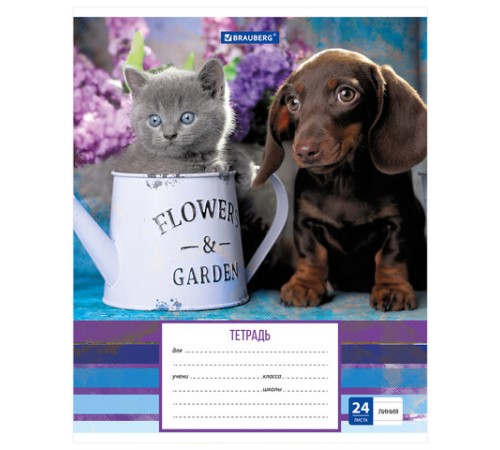 Тетрадь 24 л. BRAUBERG линия, обложка картон, 