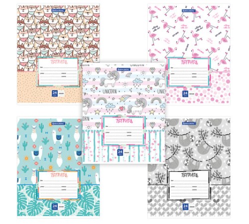 Тетрадь 24 л. BRAUBERG линия, обложка картон, 