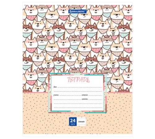 Тетрадь 24 л. BRAUBERG линия, обложка картон, 
