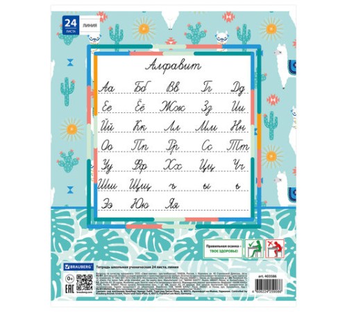 Тетрадь 24 л. BRAUBERG линия, обложка картон, 