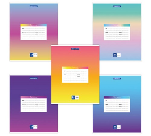 Тетрадь 24 л. BRAUBERG линия, обложка картон, 