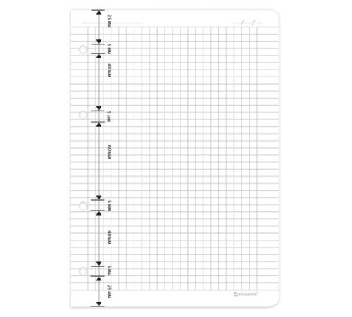 Сменный блок для тетради на кольцах А5 120 л., BRAUBERG, ПОВЫШЕННОЙ ПЛОТНОСТИ, белый, 403638