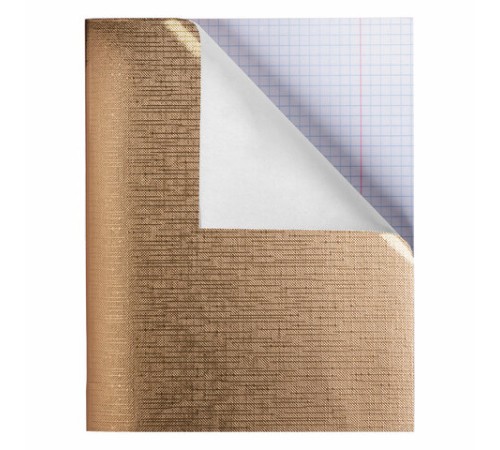 Тетрадь бумвинил А5 48 л. скоба, офсет №1, клетка, с полями, 