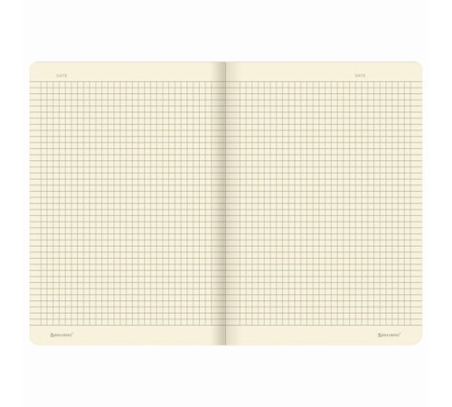 Тетрадь 40 л. в клетку обложка SoftTouch, бежевая бумага 70 г/м2, сшивка, А5 (147х210 мм), ENJOY THE MOMENT, BRAUBERG, 403766