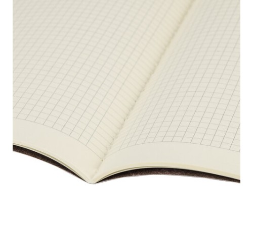 Тетрадь 40 л. в клетку обложка SoftTouch, бежевая бумага 70 г/м2, сшивка, А5 (147х210 мм), ENJOY THE MOMENT, BRAUBERG, 403766