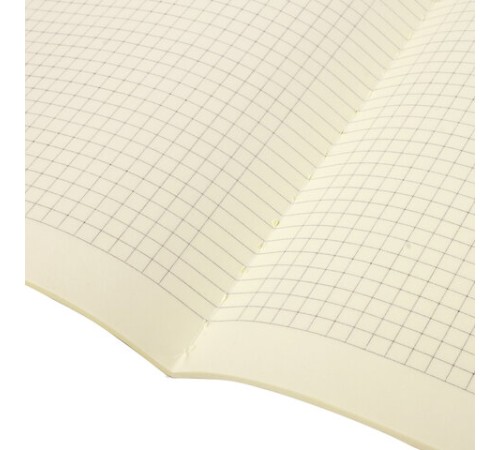 Тетрадь 40 л. в клетку обложка SoftTouch, бежевая бумага 70 г/м2, сшивка, А5 (147х210 мм), BEAUTIFUL DAY, BRAUBERG, 403772