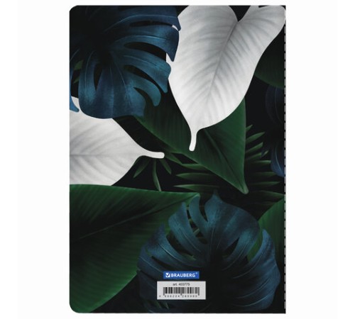 Тетрадь 40 л. в клетку обложка SoftTouch, фольга, бежевая бум. 70 г/м2, сшивка, А5 (147х210 мм), ТУКАН, BRAUBERG, 403775