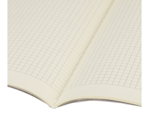 Тетрадь 40 л. в клетку обложка SoftTouch, бежевая бумага 70 г/м2, сшивка, А5 (147х210 мм), HOT PEPPERS, BRAUBERG, 403779