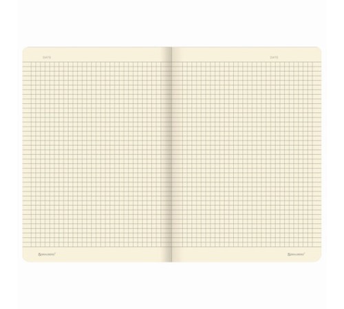 Тетрадь 40 л. в клетку обложка SoftTouch, фольга, бежевая бум. 70 г/м2, сшивка, А5 (147х210 мм), FAIRY TALE, BRAUBERG, 403788