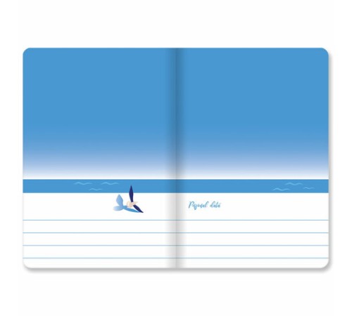 Тетради 40 л. в клетку обложка SoftTouch, НАБОР 3 шт., бежевая бумага 70 г/м2, сшивка, А5 (147х210 мм), JOY, BRAUBERG, 403791