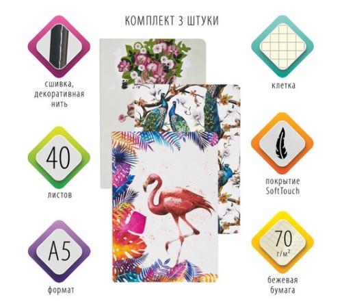 Тетради 40 л. в клетку обложка SoftTouch, НАБОР 3 шт., бежевая бумага 70 г/м2, сшивка, А5 (147х210 мм), SUMMER, BRAUBERG, 403793